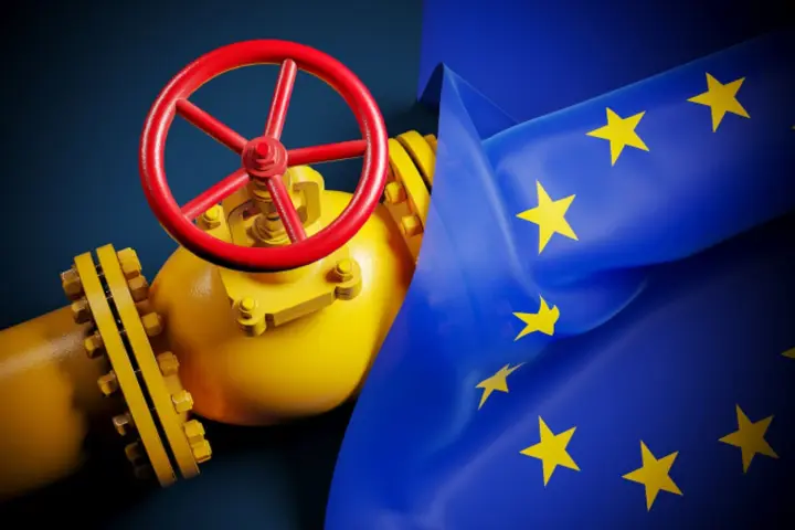MSB отзывы